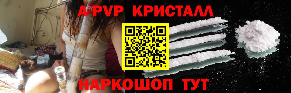 Alfa_PVP СК КРИС Балтийск