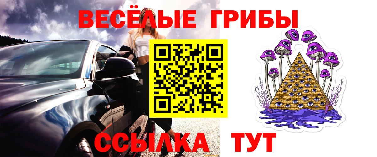 Псилоцибиновые грибы прущие грибы Балтийск