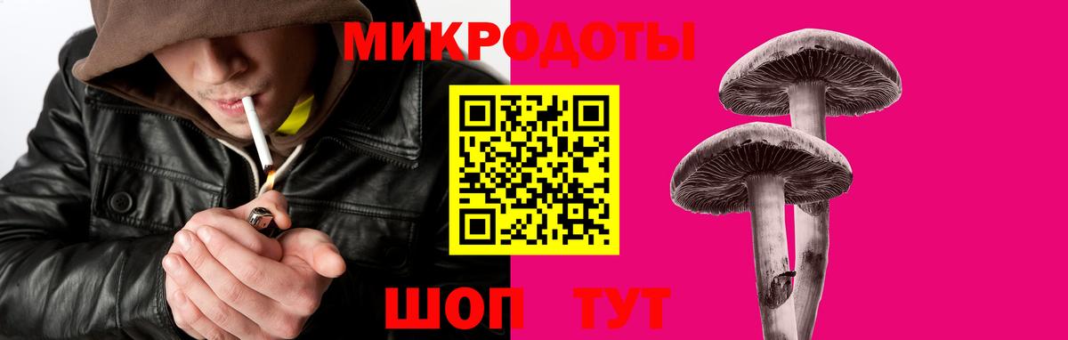 как найти   Псилоцибиновые грибы Magic Shrooms  Балтийск  Вход с VPN  Псилоцибиновые грибы Psilocybe 